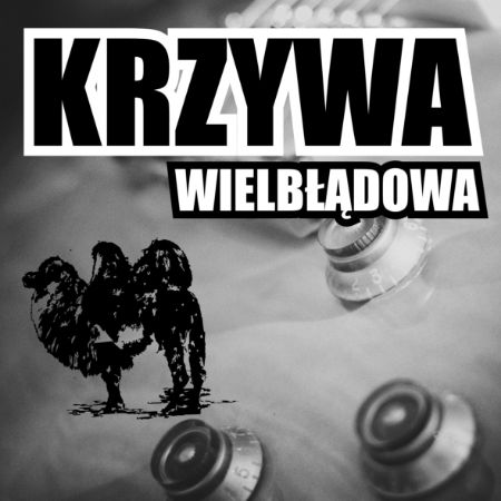 Picture for blog post Sekret mistrzów, czyli zagubione 3/4 i krzywa wielbłądowa